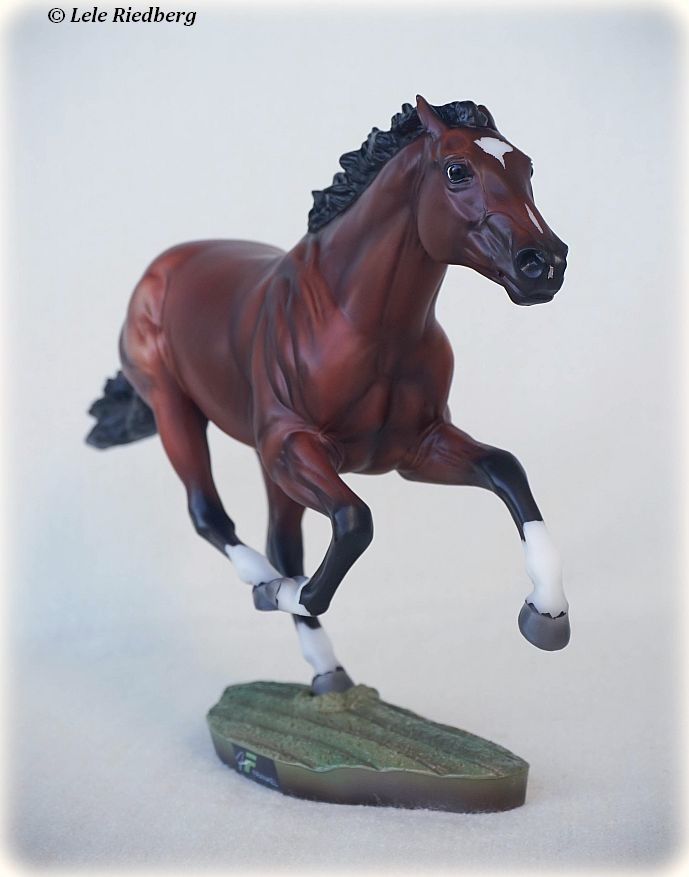 Frankel | BreyerHorseRef